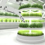 Emerging Trends in Plant Patenting: What’s Next for Agricultural Technology?
